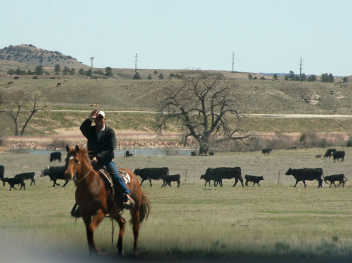 cowboy waving