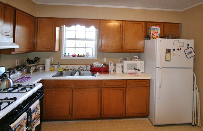 Kitchen BEFORE pics and beginning renovations